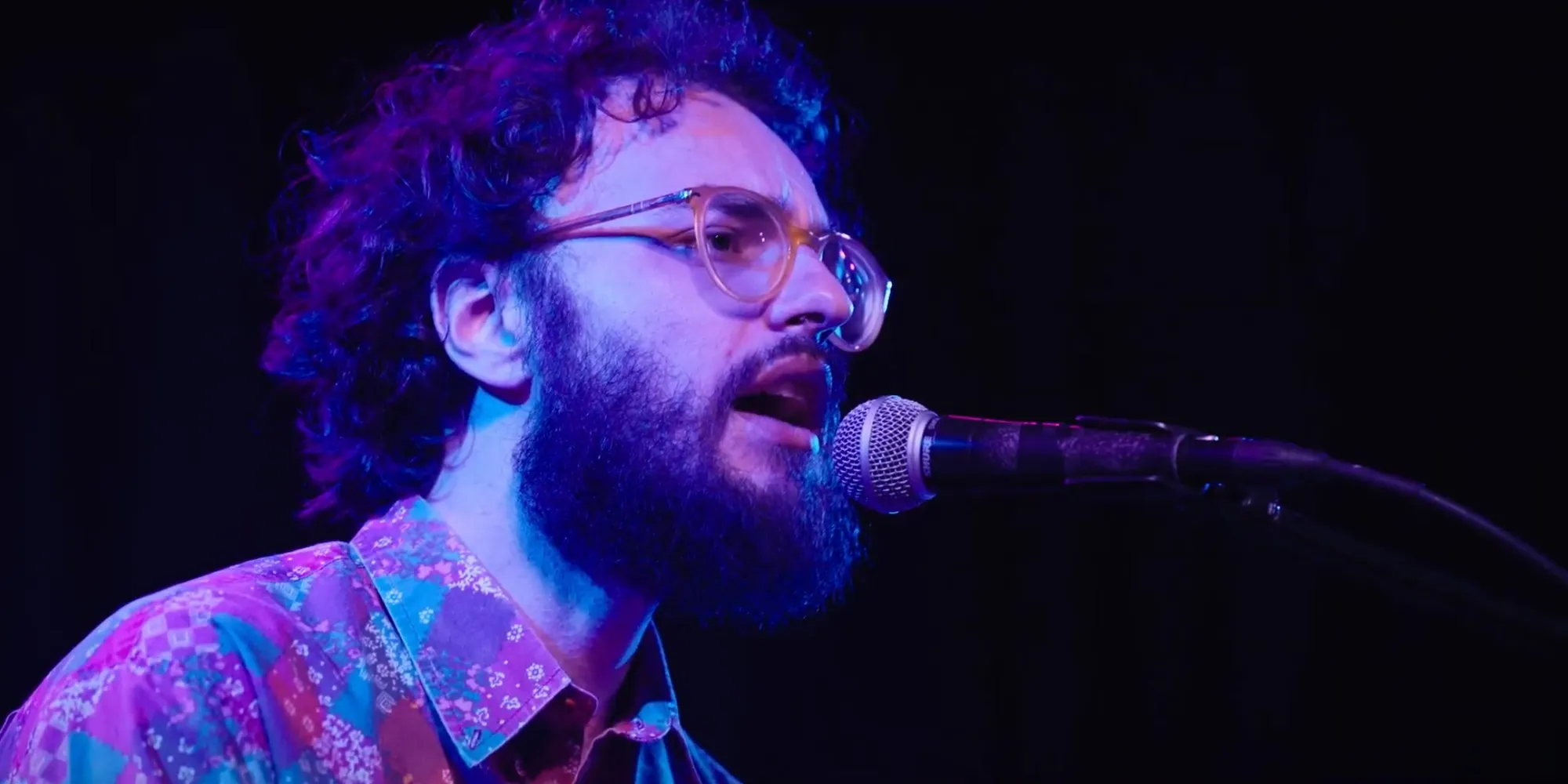 Al microfono, in una luce viola, durante un concerto.